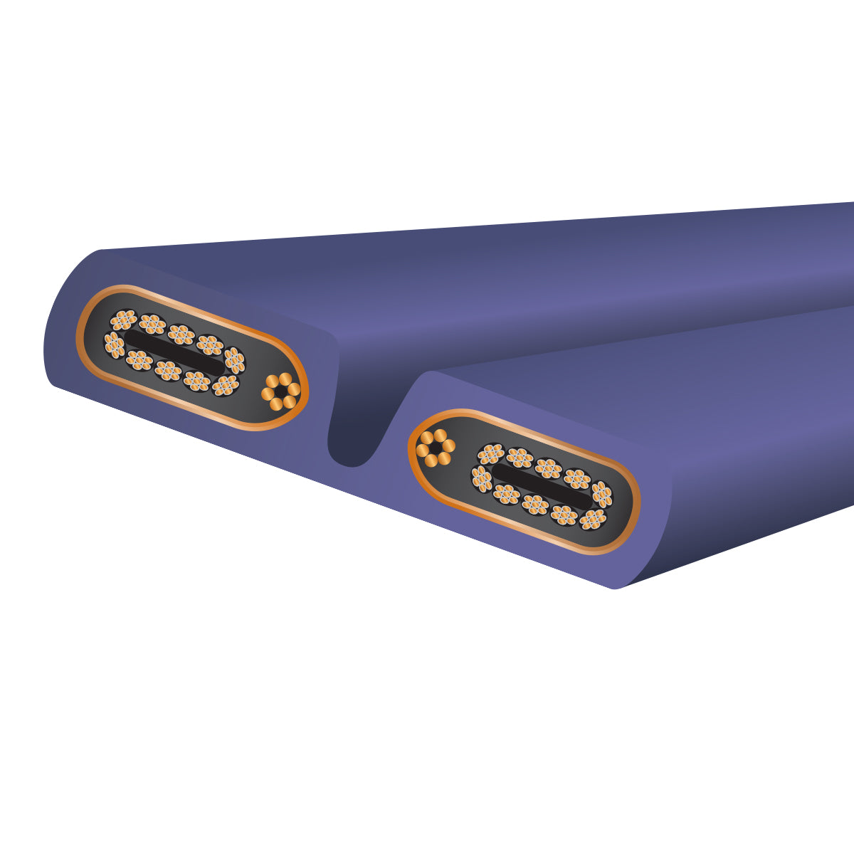 Wireworld Series 10 Power Cord