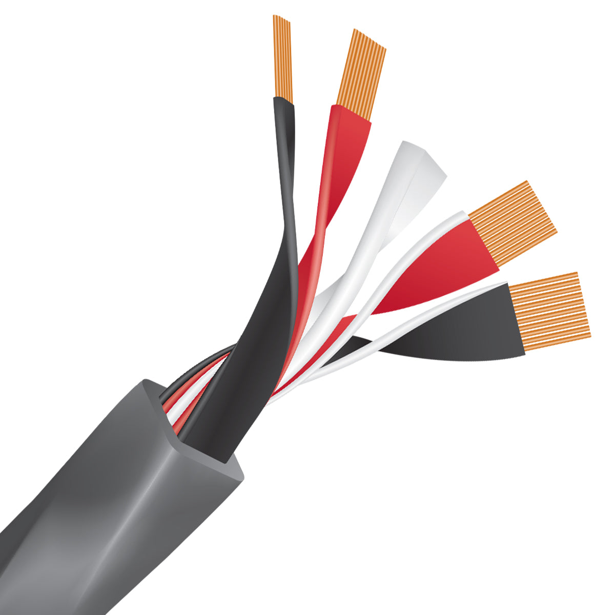 Wireworld Series 10 Speaker Cable