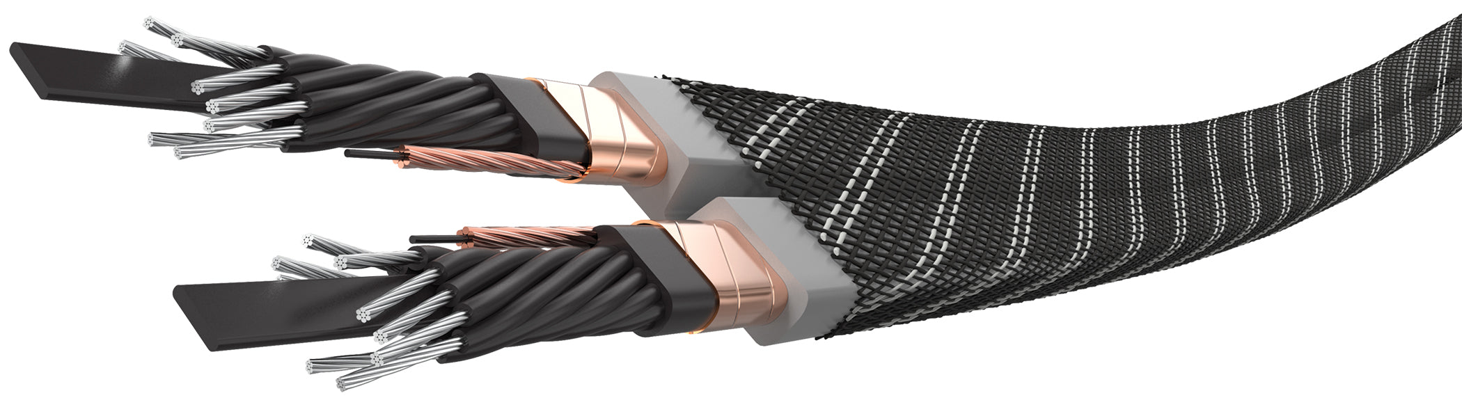 Wireworld Series 10 Power Cord