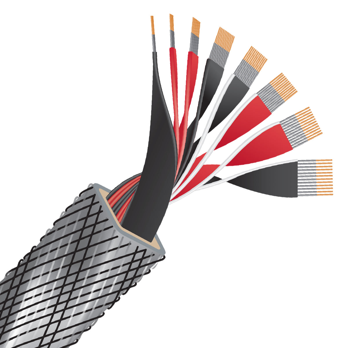 Wireworld Series 10 Speaker Cable