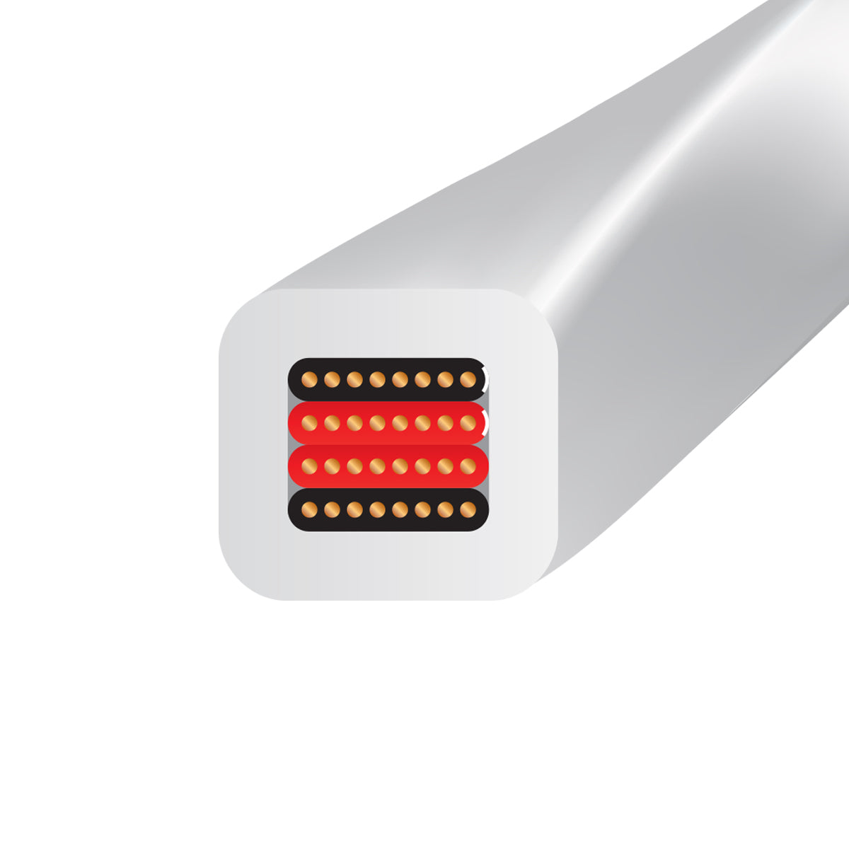 Wireworld Series 10 Speaker Cable
