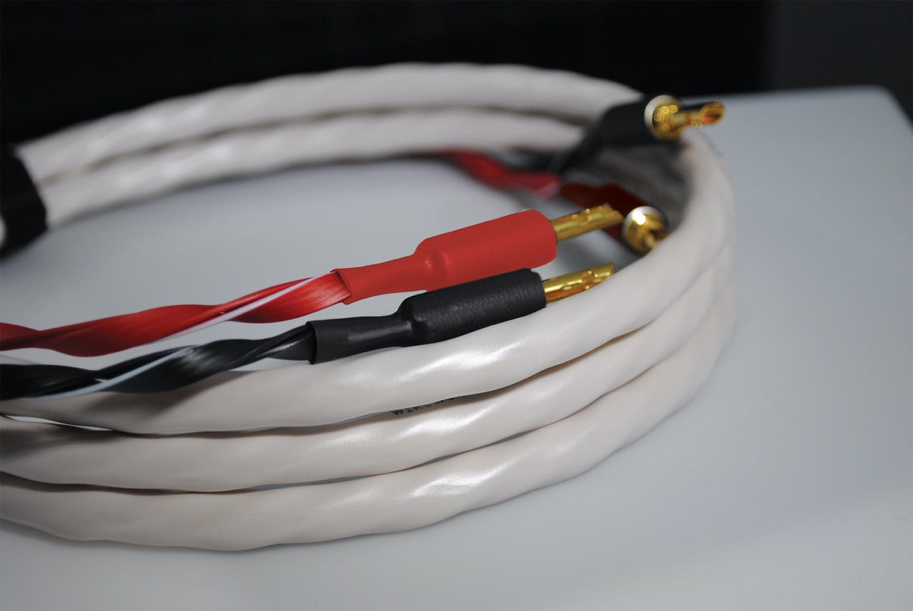 Wireworld Series 10 Speaker Cable
