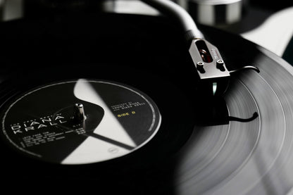 DS Audio DS Grand Master Optical Phono Cartridge