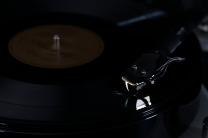 DS Audio DS Grand Master EX Optical Phono Cartridge