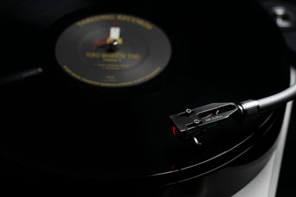 DS Audio DS W3 Optical Phono Cartridge