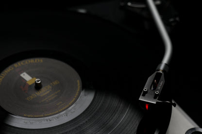 DS Audio DS W3 Optical Phono Cartridge