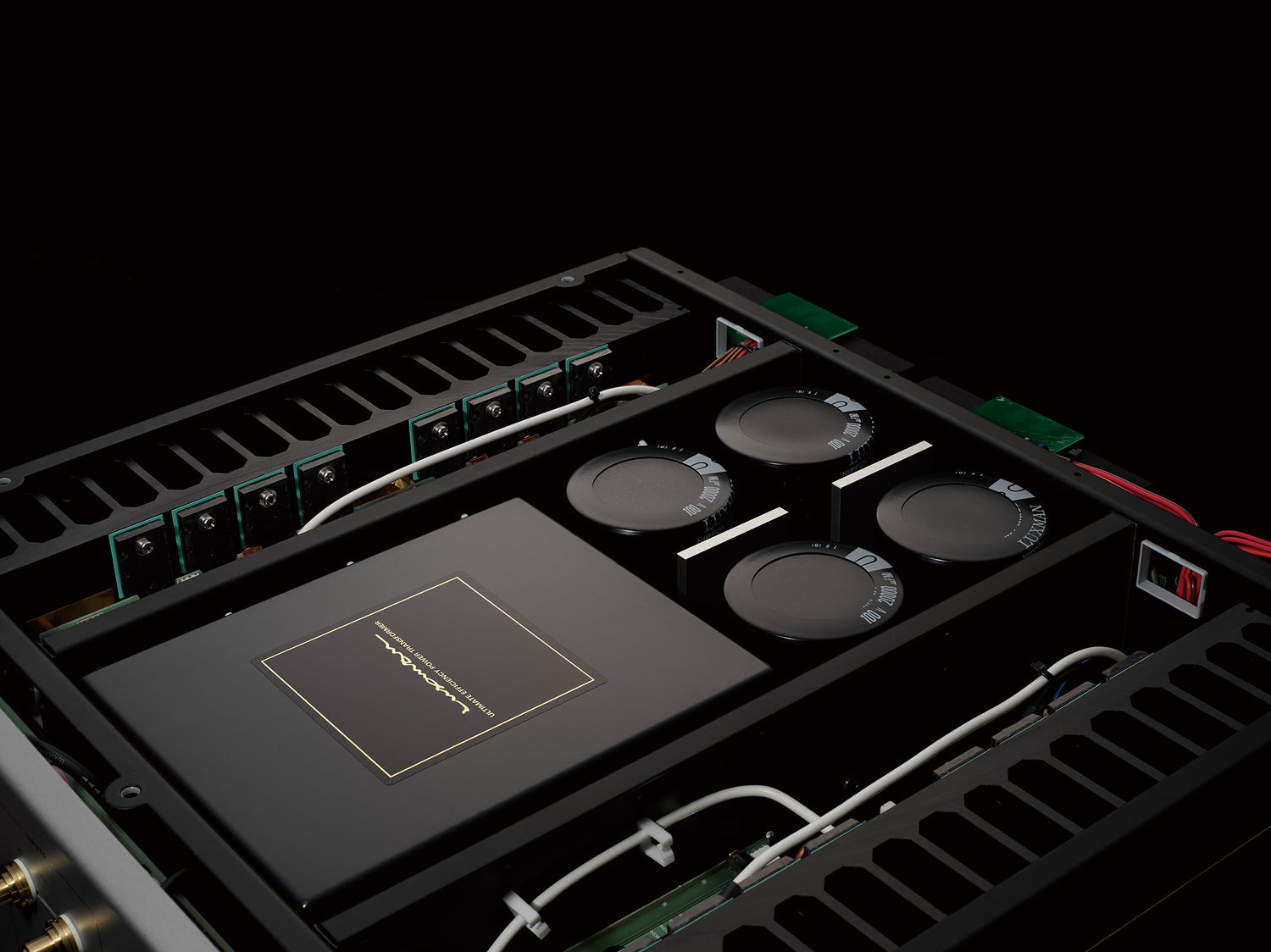 Luxman M-10X