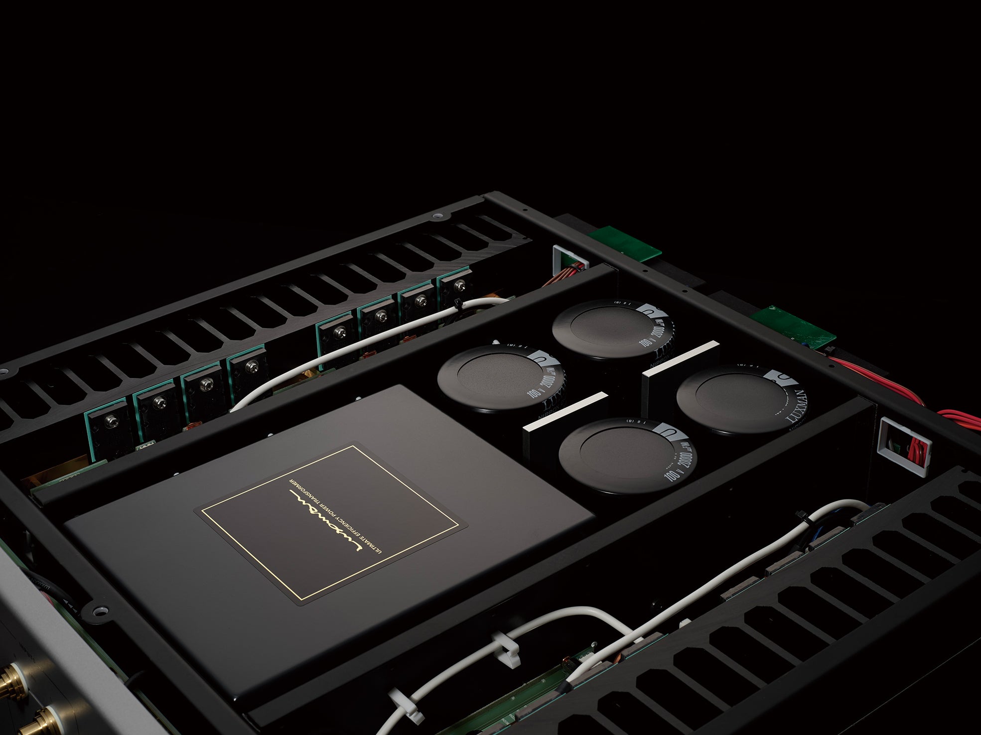 Luxman M-10X