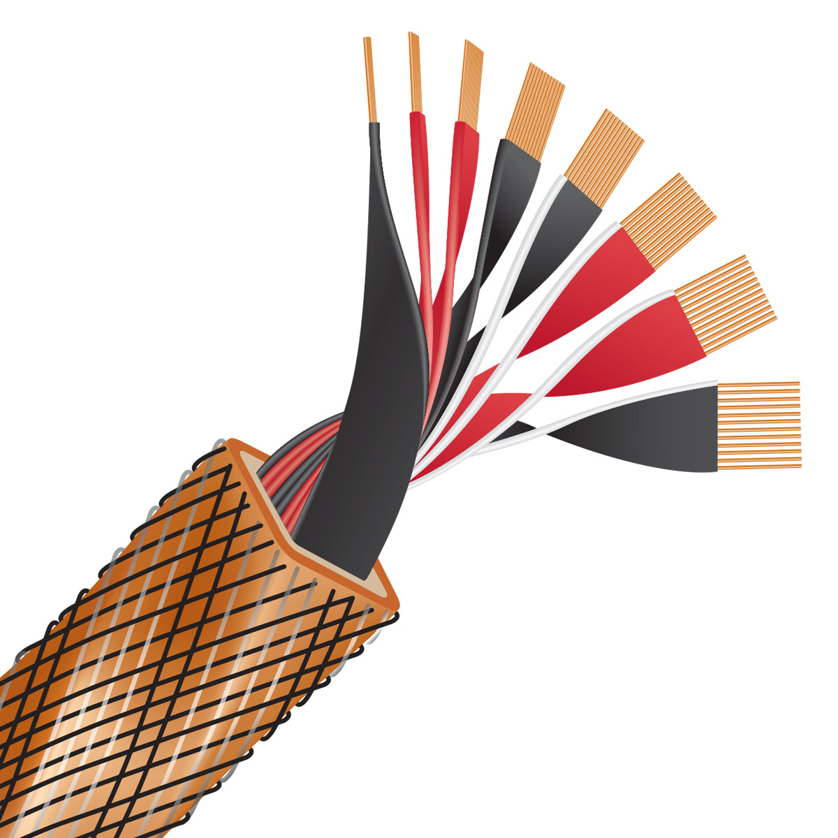 Wireworld Series 10 Speaker Cable