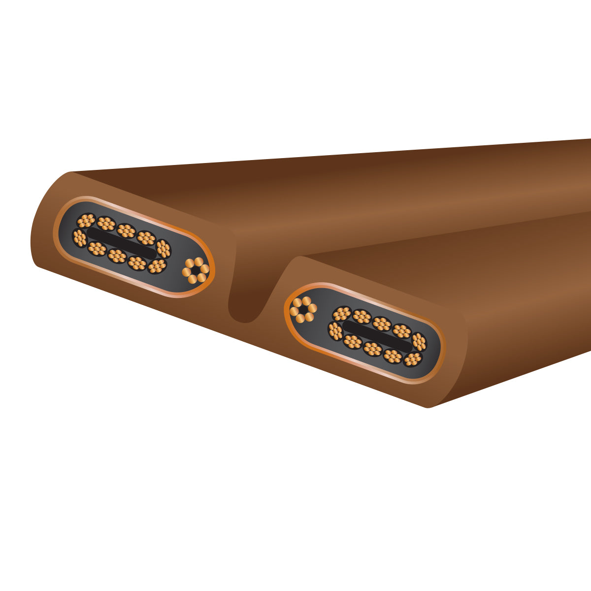 Wireworld Series 10 Power Cord