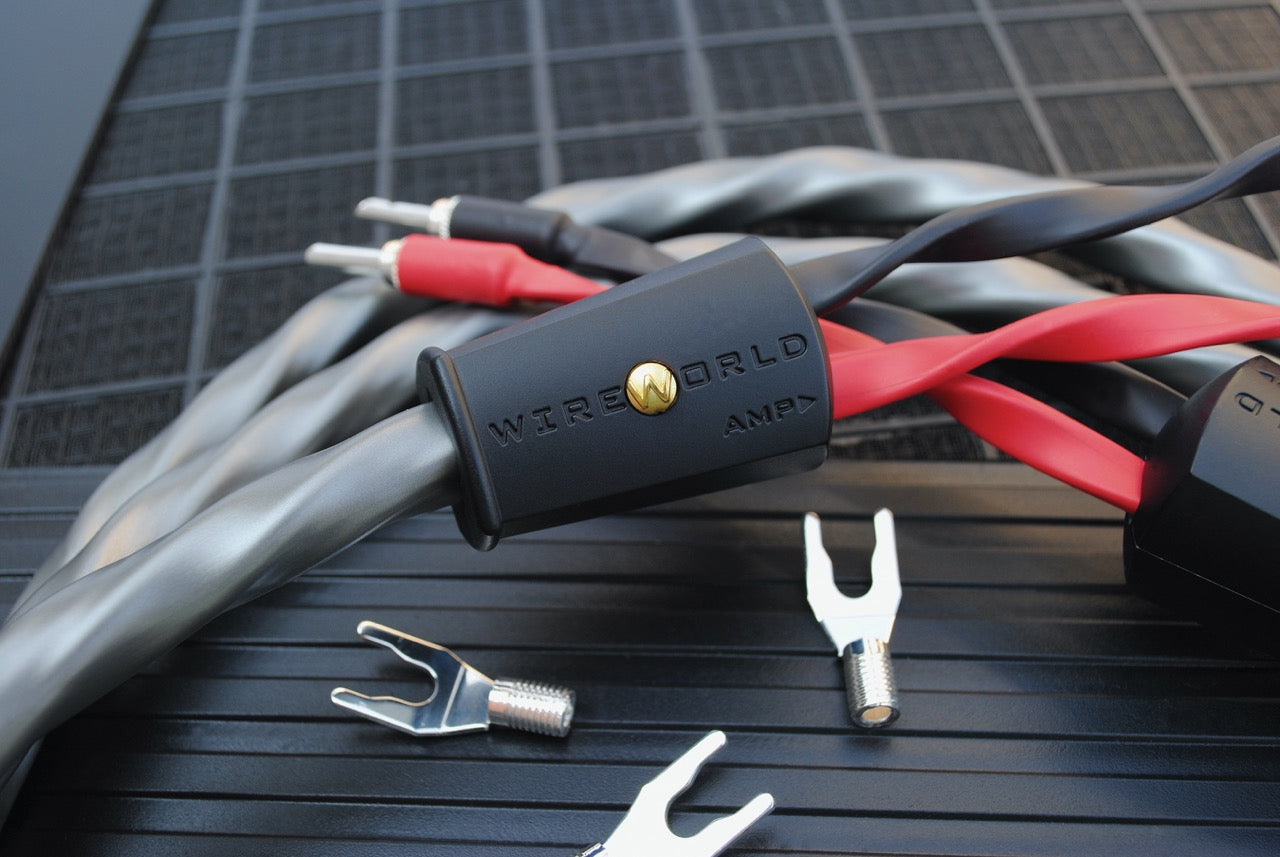 Wireworld Series 10 Speaker Cable