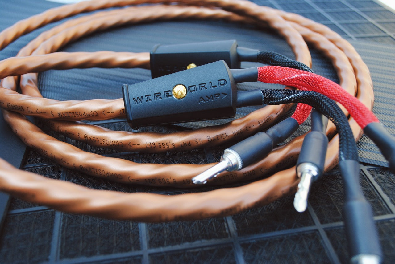 Wireworld Series 10 Speaker Cable