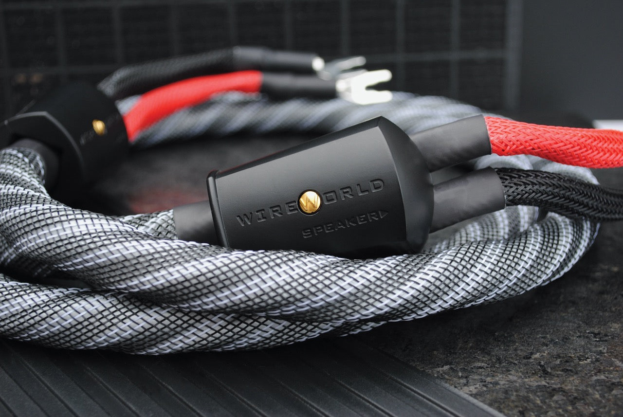Wireworld Series 10 Speaker Cable