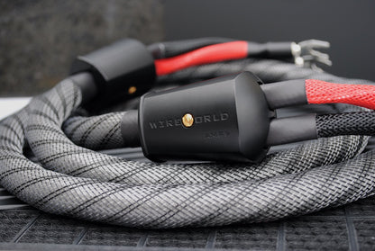 Wireworld Series 10 Speaker Cable