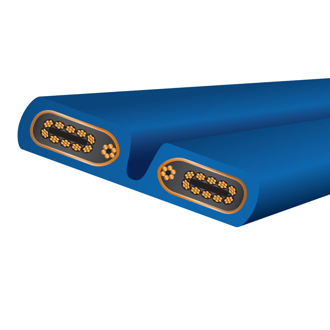 Wireworld Series 10 Power Cord